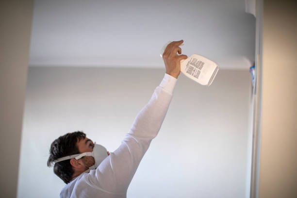 Best Toxic Mold Removal  in Poinciana, FL
