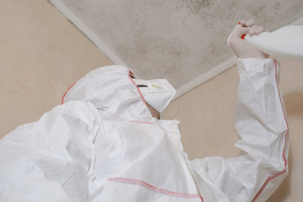 Best Mold Testing  in Poinciana, FL